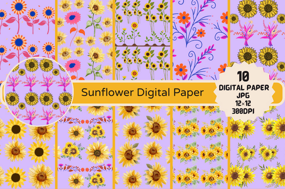 Pink Sunflower